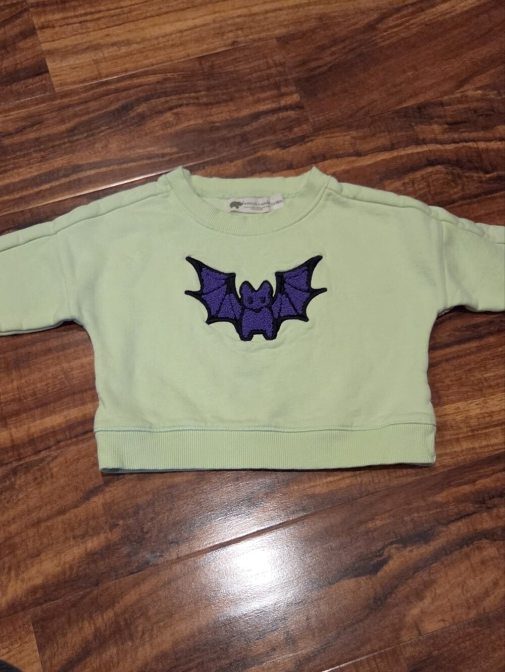 Monica & Andy EUC 12-18 Months Lime Green/Purple Bat Sweatshirt